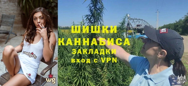мдпв Михайловск