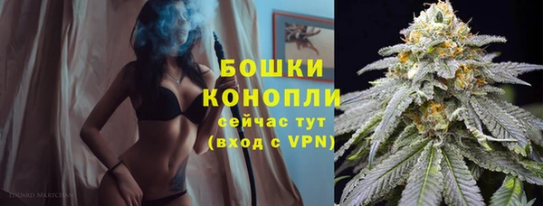 мдпв Михайловск