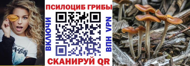 Галлюциногенные грибы GOLDEN TEACHER  наркотики  Яранск 